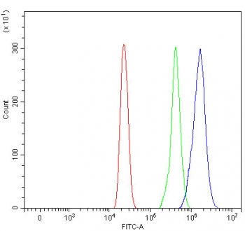 Flow cytometry testing of fixed and permeabilized human HL60 cells with RIO2 antibody at 1ug/million cells (blocked with goat sera); Red=cells alone, Green=isotype control, Blue= RIO2 antibody.