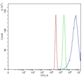 Flow cytometry testing of fixed and permeabilized human HepG2 cells with GJB1 antibody at 1ug/million cells (blocked with goat sera); Red=cells alone, Green=isotype control, Blue= GJB1 antibody.