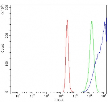 Flow cytometry testing of human K562 cells with KIF5A antibody at 1ug/million cells (blocked with goat sera); Red=cells alone, Green=isotype control, Blue= KIF5A antibody.