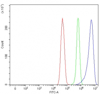 Flow cytometry testing of fixed and permeabilized human U-251 cells with ROCK1 antibody at 1ug/million cells (blocked with goat sera); Red=cells alone, Green=isotype control, Blue= ROCK1 antibody.