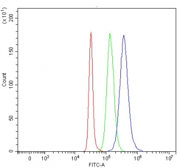 Flow cytometry testing of fixed and permeabilized human SH-SY5Y cells with TSC22D1 antibody at 1ug/million cells (blocked with goat sera); Red=cells alone, Green=isotype control, Blue= TSC22D1 antibody.