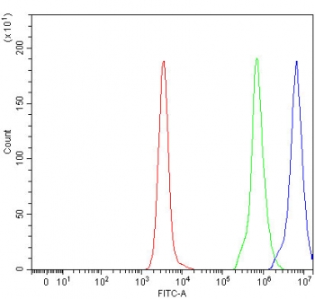 Flow cytometry testing of fixed and permeabilized human Daudi cells with TMEM5 antibody at 1ug/million cells (blocked with goat sera); Red=cells alone, Green=isotype control, Blue= TMEM5 antibody.