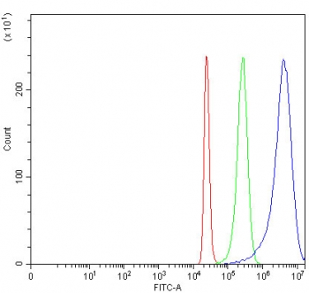 Flow cytometry testing of fixed and permeabilized human 293T cells with NARF antibody at 1ug/million cells (blocked with goat sera); Red=cells alone, Green=isotype control, Blue= NARF antibody.
