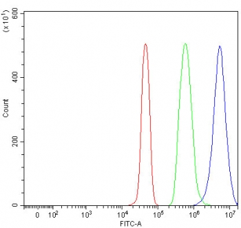 Flow cytometry testing of fixed and permeabilized human JK cells with TXNDC17 antibody at 1ug/million cells (blocked with goat sera); Red=cells alone, Green=isotype control, Blue= TXNDC17 antibody.