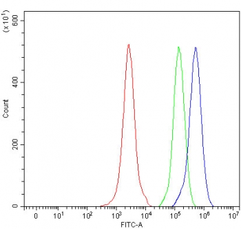 Flow cytometry testing of fixed and permeabilized human JK cells with MMACHC antibody at 1ug/million cells (blocked with goat sera); Red=cells alone, Green=isotype control, Blue= MMACHC antibody.