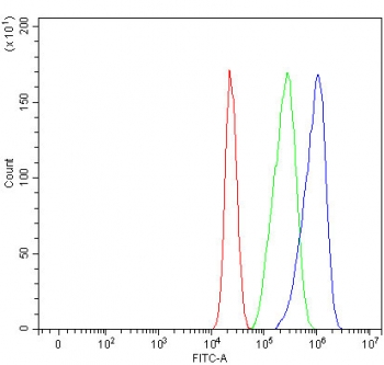 Flow cytometry testing of fixed and permeabilized human MCF7 cells with Myosin IB antibody at 1ug/million cells (blocked with goat sera); Red=cells alone, Green=isotype control, Blue= Myosin IB antibody.
