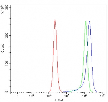 Flow cytometry testing of fixed and permeabilized human RT4 cells with Prostaglandin reductase 1 antibody at 1ug/million cells (blocked with goat sera); Red=cells alone, Green=isotype control, Blue= Prostaglandin reductase 1 antibody.