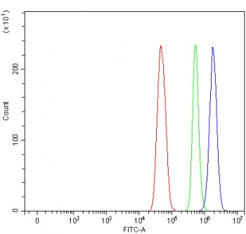 Flow cytometry testing of fixed and permeabilized human U-251 cells with EMP antibody at 1ug/million cells (blocked with goat sera); Red=cells alone, Green=isotype control, Blue= EMP antibody.