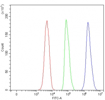 Flow cytometry testing of fixed and permeabilized human SH-SY5Y cells with TSSK4 antibody at 1ug/million cells (blocked with goat sera); Red=cells alone, Green=isotype control, Blue= TSSK4 antibody.