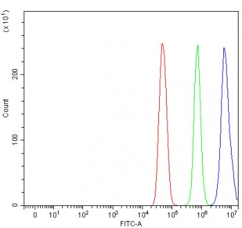 Flow cytometry testing of fixed and permeabilized human U-251 cells with L3MBTL3 antibody at 1ug/million cells (blocked with goat sera); Red=cells alone, Green=isotype control, Blue= L3MBTL3 antibody.