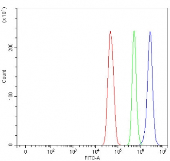 Flow cytometry testing of fixed and permeabilized human U-251 cells with MAGEC3 antibody at 1ug/million cells (blocked with goat sera); Red=cells alone, Green=isotype control, Blue= MAGEC3 antibody.