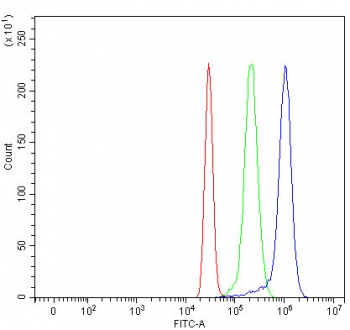 Flow cytometry testing of fixed and permeabilized human HepG2 cells with LCTL antibody at 1ug/million cells (blocked with goat sera); Red=cells alone, Green=isotype control, Blue= LCTL antibody.