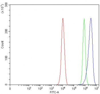 Flow cytometry testing of fixed and permeabilized human PC-3 cells with Angulin-2 antibody at 1ug/million cells (blocked with goat sera); Red=cells alone, Green=isotype control, Blue= Angulin-2 antibody.