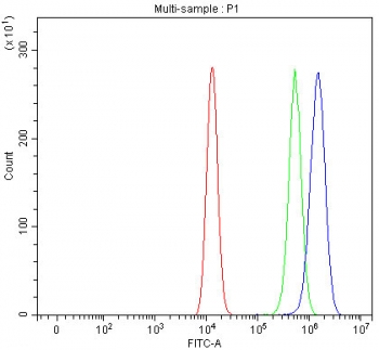 Flow cytometry testing of fixed and permeabilized human HEL cells with LRRC47 antibody at 1ug/million cells (blocked with goat sera); Red=cells alone, Green=isotype control, Blue= LRRC47 antibody.