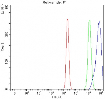 Flow cytometry testing of fixed and permeabilized human ThP-1 cells with INPP5D antibody at 1ug/million cells (blocked with goat sera); Red=cells alone, Green=isotype control, Blue= INPP5D antibody.