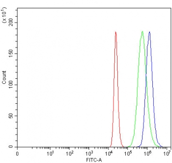 Flow cytometry testing of fixed and permeabilized human ThP-1 cells with MIP-3 beta antibody at 1ug/million cells (blocked with goat sera); Red=cells alone, Green=isotype control, Blue= MIP-3 beta antibody.