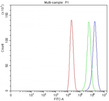 Flow cytometry testing of fixed and permeabilized human Caco-2 cells with IDI2 antibody at 1ug/million cells (blocked with goat sera); Red=cells alone, Green=isotype control, Blue= IDI2 antibody.