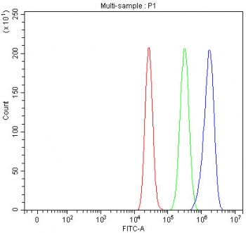 Flow cytometry testing of fixed and permeabilized human MCF7 cells with PCDHA6 antibody at 1ug/million cells (blocked with goat sera); Red=cells alone, Green=isotype control, Blue= PCDHA6 antibody.