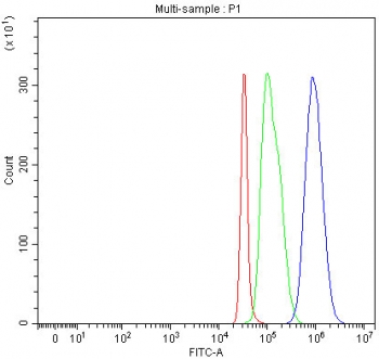 Flow cytometry testing of fixed and permeabilized human SH-SY5Y cells with PCDHA8 antibody at 1ug/million cells (blocked with goat sera); Red=cells alone, Green=isotype control, Blue= PCDHA8 antibody.