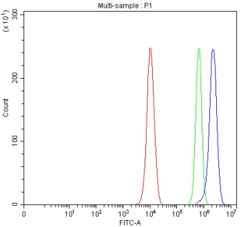 Flow cytometry testing of fixed and permeabilized human PC-3 cells with PCDHA13 antibody at 1ug/million cells (blocked with goat sera); Red=cells alone, Green=isotype control, Blue= PCDHA13 antibody.