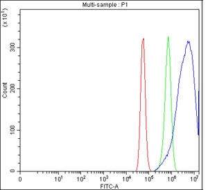 Flow cytometry testing of fixed and permeabilized human U-87 MG cells with NUMBL antibody at 1ug/million cells (blocked with goat sera); Red=cells alone, Green=isotype control, Blue= NUMBL antibody.