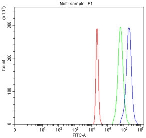 Flow cytometry testing of fixed human 293T cells with SLC22A10 antibody at 1ug/million cells (blocked with goat sera); Red=cells alone, Green=isotype control, Blue= SLC22A10 antibody.