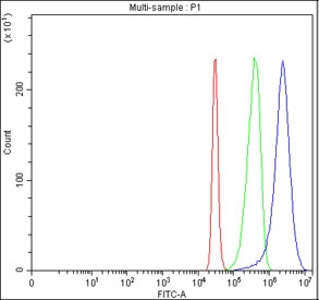 Flow cytometry testing of fixed human 293T cells with MFSD3 antibody at 1ug/million cells (blocked with goat sera); Red=cells alone, Green=isotype control, Blue= MFSD3 antibody.