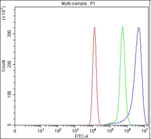 Flow cytometry testing of fixed human HEL cells with MYO1G antibody at 1ug/million cells (blocked with goat sera); Red=cells alone, Green=isotype control, Blue= MYO1G antibody.