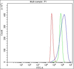Flow cytometry testing of fixed and permeabilized human HeLa cells with LMO7DN antibody at 1ug/million cells (blocked with goat sera); Red=cells alone, Green=isotype control, Blue= LMO7DN antibody.