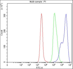 Flow cytometry testing of fixed and permeabilized human Daudi cells with NF-kB p65 antibody at 1ug/million cells (blocked with goat sera); Red=cells alone, Green=isotype control, Blue= NF-kB p65 antibody.