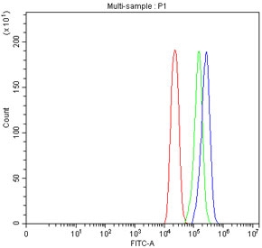 Flow cytometry testing of fixed human U-251 cells with SLITRK1 antibody at 1ug/million cells (blocked with goat sera); Red=cells alone, Green=isotype control, Blue= SLITRK1 antibody.