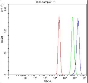 Flow cytometry testing of fixed human MCF7 cells with ADAM2 antibody at 1ug/million cells (blocked with goat sera); Red=cells alone, Green=isotype control, Blue= ADAM2 antibody.