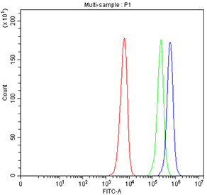 Flow cytometry testing of fixed and permeabilized human SiHa cells with MIB2 antibody at 1ug/million cells (blocked with goat sera); Red=cells alone, Green=isotype control, Blue= MIB2 antibody.