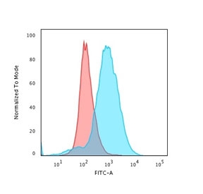Flow cytometry staining of PFA-fixed human Jukat cells with unlabeled CD28 antibody (clone CB28); Red=isotype control, Blue= CD28 antibody.
