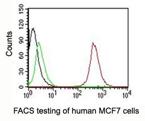 FACS testing of MCF-7 cells with PE conjugated CD63 antibody:  Black=cells alone; Green=isotype control; Red=CD63 antibody