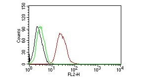 FACS testing of human MCF-7 cells with Estrogen Receptor beta antibody (PE conjugate):  Black=cells alone; Green=isotype control; Red=Estrogen Receptor beta antibody