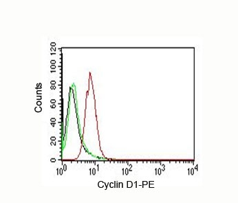 Cyclin D1 antibody FACS HeLa