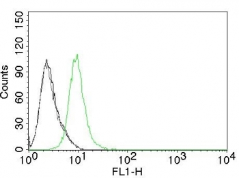 Flow cytometry testing of permeabilized human Jurkat cells. Black: cells alone; Grey: isotype control; Green: p27Kip1 antibody (clone KIP1/769).