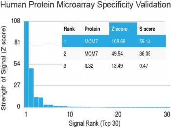 Protein array validation of the MCM7 antibody: Analysis of HuProt(TM) microarray containing more than 19,000 full-length human proteins using MCM7 antibody (clone MCM7/1469). These results demonstrate the foremost specificity of the MCM7/1469 mAb.<P><P>Z- and S- score: The Z-score represents the strength of a signal that an antibody (in combination with a fluorescently-tagged anti-IgG secondary Ab) produces when binding to a particular protein on the HuProt(TM) array. Z-scores are described in units of standard deviations (SD's) above the mean value of all signals generated on that array. If the targets on the HuProt(TM) are arranged in descending order of the Z-score, the S-score is the difference (also in units of SD's) between the Z-scores. The S-score therefore represents the relative target specificity of an Ab to its intended target.