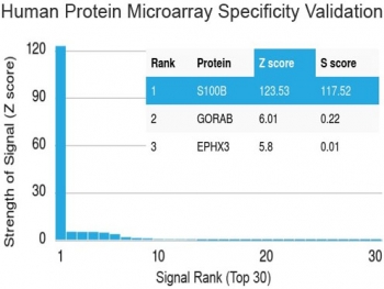Protein array validation of the S100 beta antibody: Analysis of HuProt(TM) microarray containing more than 19,000 full-length human proteins using S100 beta antibody (clone S100B/1012). These results demonstrate the foremost specificity of the S100B/1012 mAb.<P><P>Z- and S- score: The Z-score represents the strength of a signal that an antibody (in combination with a fluorescently-tagged anti-IgG secondary Ab) produces when binding to a particular protein on the HuProt(TM) array. Z-scores are described in units of standard deviations (SD's) above the mean value of all signals generated on that array. If the targets on the HuProt(TM) are arranged in descending order of the Z-score, the S-score is the difference (also in units of SD's) between the Z-scores. The S-score therefore represents the relative target specificity of an Ab to its intended target.