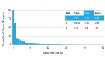 Protein array validation of the p53 antibody: Analysis of HuProt(TM) microarray containing more than 19,000 full-length human proteins using p53 antibody (clone PAb 1801). Z- and S- score: The Z-score represents the strength of a signal that an antibody (in combination with a fluorescently-tagged anti-IgG secondary Ab) produces when binding to a particular protein on the HuProt(TM) array. Z-scores are described in units of standard deviations (SD's) above the mean value of all signals generated on that array. If the targets on the HuProt(TM) are arranged in descending order of the Z-score, the S-score is the difference (also in units of SD's) between the Z-scores. The S-score therefore represents the relative target specificity of an Ab to its intended target. 