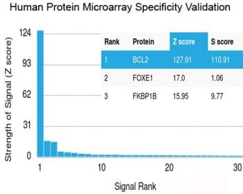 Analysis of HuProt(TM) microarray containing more than 19,000 full-length human proteins using recombinant Bcl2 antibody (clone rBCL2/782). These results demonstrate the foremost specificity of the rBCL2/782 mAb. <BR>Z- and S- score: The Z-score represents the strength of a signal that an antibody (in combination with a fluorescently-tagged anti-IgG secondary Ab) produces when binding to a particular protein on the HuProt(TM) array. Z-scores are described in units of standard deviations (SD's) above the mean value of all signals generated on that array. If the targets on the HuProt(TM) are arranged in descending order of the Z-score, the S-score is the difference (also in units of SD's) between the Z-scores. The S-score therefore represents the relative target specificity of an Ab to its intended target.