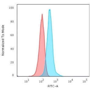 Flow cytometry testing of fixed human T98G cells with Glial Fibrillary Acidic Protein antibody (clone GFAP/2076); Red=isotype control, Blue= Glial Fibrillary Acidic Protein antibody.