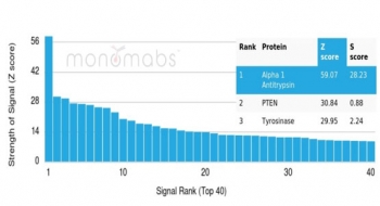 Analysis of a HuProt(TM) microarray containing more than 19,000 full-length human proteins using SERPINA1 antibody (AAT/4613). Z- and S- Score: The Z-score represents the strength of a signal that a monoclonal antibody (in combination with a fluorescently-tagged anti-IgG secondary antibody) produces when binding to a particular protein on the HuProt(TM) array. Z-scores are described in units of standard deviations (SD's) above the mean value of all signals generated on that array. If targets on HuProt(TM) are arranged in descending order of the Z-score, the S-score is the difference (also in units of SD's) between the Z-score. S-score therefore represents the relative target specificity of a mAb to its intended target. A mAb is considered to specific to its intended target, if the mAb has an S-score of at least 2.5. For example, if a mAb binds to protein X with a Z-score of 43 and to protein Y with a Z-score of 14, then the S-score for the binding of that mAb to protein X is equal to 29.