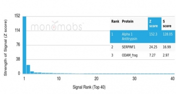 Analysis of a HuProt(TM) microarray containing more than 19,000 full-length human proteins using Alpha-1-Antitrypsin antibody (clone AAT/4609). Z- and S- Score: The Z-score represents the strength of a signal that a monoclonal antibody (in combination with a fluorescently-tagged anti-IgG secondary antibody) produces when binding to a particular protein on the HuProt(TM) array. Z-scores are described in units of standard deviations (SD's) above the mean value of all signals generated on that array. If targets on HuProt(TM) are arranged in descending order of the Z-score, the S-score is the difference (also in units of SD's) between the Z-score. S-score therefore represents the relative target specificity of a mAb to its intended target. A mAb is considered to specific to its intended target, if the mAb has an S-score of at least 2.5. For example, if a mAb binds to protein X with a Z-score of 43 and to protein Y with a Z-score of 14, then the S-score for the binding of that mAb to protein X is equal to 29.