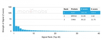 Analysis of a HuProt(TM) microarray containing more than 19,000 full-length human proteins using KLK7 antibody (clone KLK7/4691) Z- and S- Score: The Z-score represents the strength of a signal that a monoclonal antibody (in combination with a fluorescently-tagged anti-IgG secondary antibody) produces when binding to a particular protein on the HuProt(TM) array. Z-scores are described in units of standard deviations (SD's) above the mean value of all signals generated on that array. If targets on HuProt(TM) are arranged in descending order of the Z-score, the S-score is the difference (also in units of SD's) between the Z-score. S-score therefore represents the relative target specificity of a mAb to its intended target. A mAb is considered to specific to its intended target, if the mAb has an S-score of at least 2.5. For example, if a mAb binds to protein X with a Z-score of 43 and to protein Y with a Z-score of 14, then the S-score for the binding of that mAb to protein X is equal to 29.