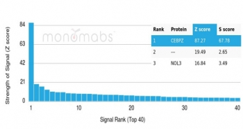 Analysis of a HuProt(TM) microarray containing more than 19,000 full-length human proteins using CEBPZ Mouse Monoclonal (PCRP-CEBPZ-2D8). Z- and S- Score: The Z-score represents the strength of a signal that a monoclonal antibody (in combination with a fluorescently-tagged anti-IgG secondary antibody) produces when binding to a particular protein on the HuProt(TM) array. Z-scores are described in units of standard deviations (SD's) above the mean value of all signals generated on that array. If targets on HuProt(TM) are arranged in descending order of the Z-score, the S-score is the difference (also in units of SD's) between the Z-score. S-score therefore represents the relative target specificity of a mAb to its intended target. A mAb is considered to specific to its intended target, if the mAb has an S-score of at least 2.5. For example, if a mAb binds to protein X with a Z-score of 43 and to protein Y with a Z-score of 14, then the S-score for the binding of that mAb to protein X is equal to 29.