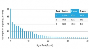 Analysis of a HuProt(TM) microarray containing more than 19,000 full-length human proteins using Interleukin-1 beta antibody (clone IL1B/4650). Z- and S- Score: The Z-score represents the strength of a signal that a monoclonal antibody (in combination with a fluorescently-tagged anti-IgG secondary antibody) produces when binding to a particular protein on the HuProt(TM) array. Z-scores are described in units of standard deviations (SD's) above the mean value of all signals generated on that array. If targets on HuProt(TM) are arranged in descending order of the Z-score, the S-score is the difference (also in units of SD's) between the Z-score. S-score therefore represents the relative target specificity of a mAb to its intended target. A mAb is considered to specific to its intended target, if the mAb has an S-score of at least 2.5. For example, if a mAb binds to protein X with a Z-score of 43 and to protein Y with a Z-score of 14, then the S-score for the binding of that mAb to protein X is equal to 29.