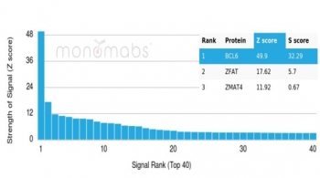 Analysis of a HuProt(TM) microarray containing more than 19,000 full-length human proteins using BCL6 antibody (clone PCRP-BCL6-1B1). Z- and S- Score: The Z-score represents the strength of a signal that a monoclonal antibody (in combination with a fluorescently-tagged anti-IgG secondary antibody) produces when binding to a particular protein on the HuProt(TM) array. Z-scores are described in units of standard deviations (SD's) above the mean value of all signals generated on that array. If targets on HuProt(TM) are arranged in descending order of the Z-score, the S-score is the difference (also in units of SD's) between the Z-score. S-score therefore represents the relative target specificity of a mAb to its intended target. A mAb is considered to specific to its intended target, if the mAb has an S-score of at least 2.5. For example, if a mAb binds to protein X with a Z-score of 43 and to protein Y with a Z-score of 14, then the S-score for the binding of that mAb to protein X is equal to 29.