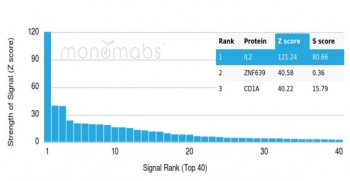 Analysis of a HuProt(TM) microarray containing more than 19,000 full-length human proteins using IL-2 antibody (clone IL2/4984). Z- and S- Score: The Z-score represents the strength of a signal that a monoclonal antibody (in combination with a fluorescently-tagged anti-IgG secondary antibody) produces when binding to a particular protein on the HuProt(TM) array. Z-scores are described in units of standard deviations (SD's) above the mean value of all signals generated on that array. If targets on HuProt(TM) are arranged in descending order of the Z-score, the S-score is the difference (also in units of SD's) between the Z-score. S-score therefore represents the relative target specificity of a mAb to its intended target. A mAb is considered to be specific to its intended target, if the mAb has an S-score of at least 2.5. For example, if a mAb binds to protein X with a Z-score of 43 and to protein Y with a Z-score of 14, then the S-score for the binding of that mAb to protein X is equal to 29.